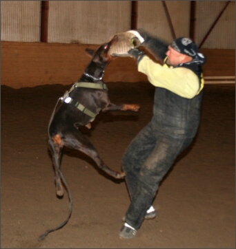 Training in Estonia 11/2007